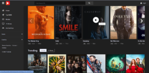 TinyZone and 12 Best Alternatives To Watch Movies Online for Free